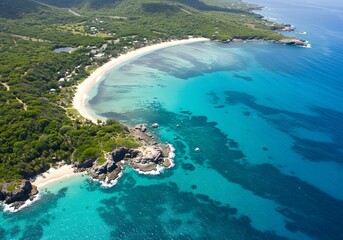 Aerial view of a pristine tropical coastline with lush green vegetation meeting turquoise ocean waters and a sandy crescent beach