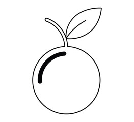 Simple orange fruit illustration with green leaf