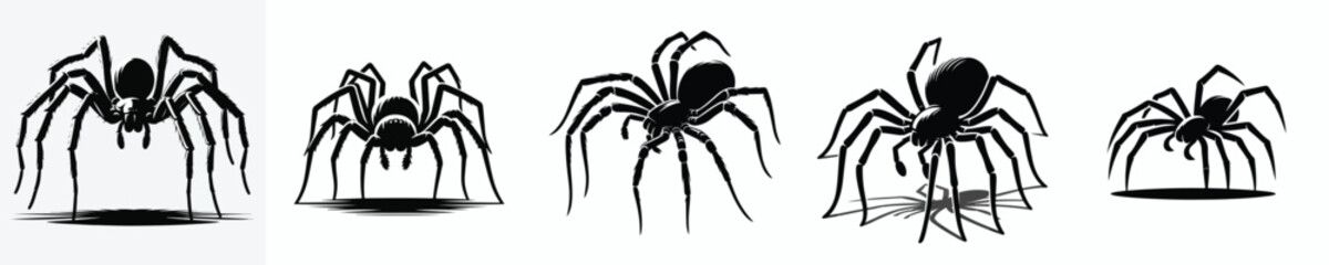 vector black and white silhouette of a spider