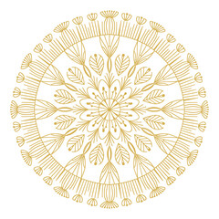 Round Mandala Design Vector