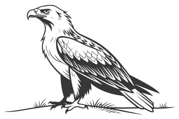 Howling Wolf/Coyote on Rock Vector - Monochrome Wildlife Graphic

