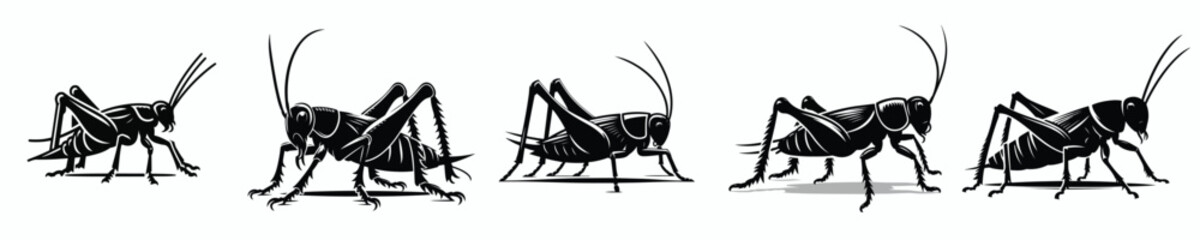Fototapeta premium black and white silhouette vector of a cricket