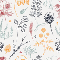 Sketch style fall leaves background. Dried flowers and autumn plants seamless pattern. Hand drawn vector illustration. NOT AI generated 