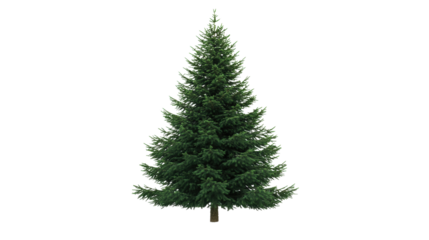 Green Christmas Tree isolated on a transparent background 