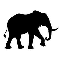 Wildlife Vector Illustration
Silhouette of Wild Animals in Forest
Safari Wildlife Vector Scene
Jungle Wildlife Illustration
Wild Animal Silhouette Collection