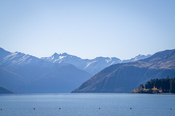yellow colorful autumn leaves tree along wanaka lake with snow cap mountain range background in sunny day is very beautiful landscape view South Island New Zealand