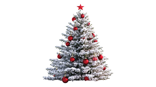 Snow covered Christmas tree with red ornaments isolated on a transparent background