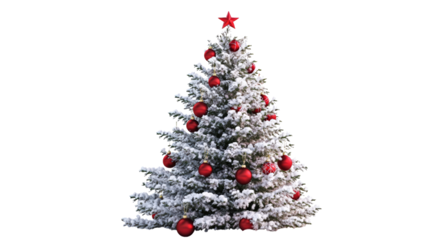 Snow covered Christmas tree with red ornaments isolated on a transparent background