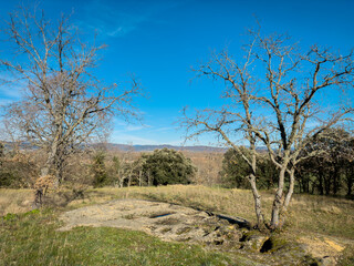 Ground-level view of the San Andres necropolis in Villarcayo, Burgos, Spain. The image shows medieval rock-cut tombs carved directly into stone, surrounded by natural vegetation and rural landscapes