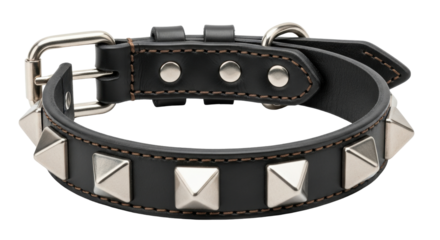 Isolated spiky dog collar, leather pet accessory with metal buckle, shiny spikes, stylish equipment