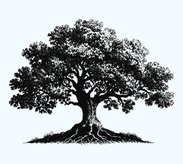 Elegant Tree Silhouette with Root System Vector