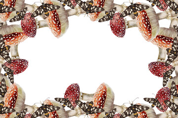 Watercolor frame with red and white fly agaric mushrooms and black moths in a realistic naturalistic style. Suitable for Halloween packaging, mystical stationery, esoteric designs, and herbal labels.