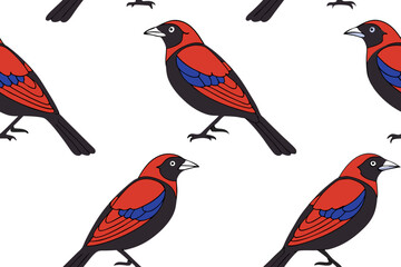 set of birds on a white background