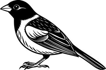 black and white crimson collared tanager bird