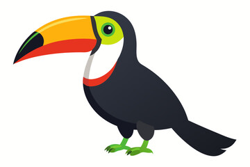 toucan on a white background