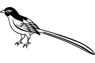 vector illustration of a bird
