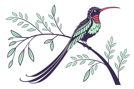 red billed streamertail bird on branch