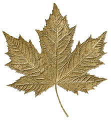 Golden autumn maple leaf metal