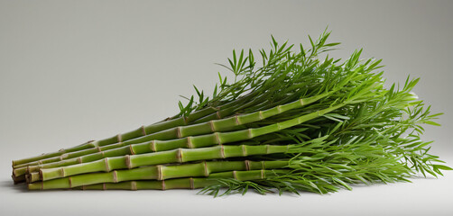 There is a bunch of green bamboo stalks on white surface expression movement style cartoonish emotion composition backgrounds design depth gesture creative illustration scene figure