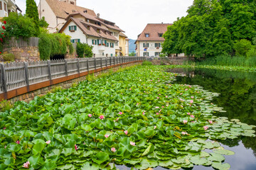 Scenic view of tranquil river with lily pads and charming houses along the waterfront in a picturesque village