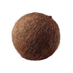 Dark Brown Spherical Object with Fine Texture