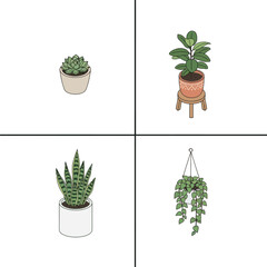 Collection of Potted Houseplants Vector Illustrations (Succulent, Snake Plant, etc.)