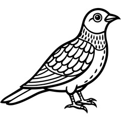 Obraz premium Nightjar line art vector