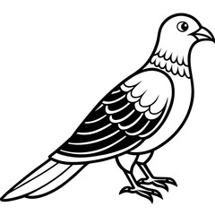 Fototapeta premium Nightjar line art vector