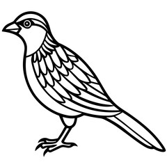 Nightjar line art vector