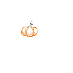 Pumpkin halloween