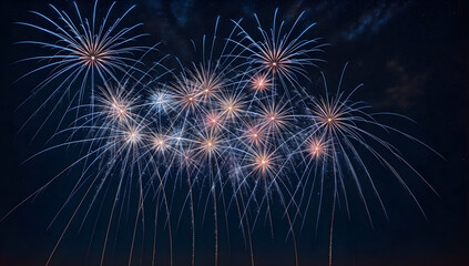 Brilliant Fireworks on Starry Night Background