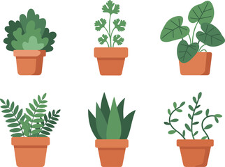Flat vector illustration of indoor houseplants in terracotta pots, modern greenery decor, botanical home design, minimalist plant collection
