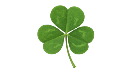 Isolated three-leaf clover for St Patrick's Day, green shamrock symbol of Irish tradition