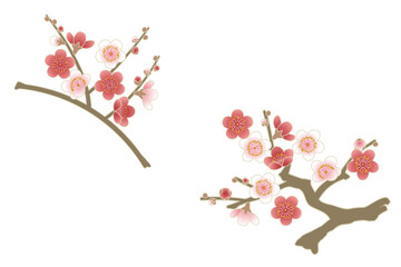 Japanese plum blossom branch set with red and white flowers, traditional floral design for New Year, spring, and Japanese pattern decoration