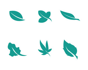 Tree leaf vector logo design, eco-friendly concept.