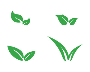 Tree leaf vector logo design, eco-friendly concept.