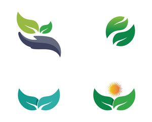 Tree leaf vector logo design, eco-friendly concept.