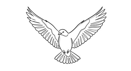 Obraz premium Detailed Line Art Depiction of a Dove in Flight, Captured with Precision, Showcasing the Bird's Graceful Wingspan and Feather Details