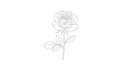 Obraz premium Elegant Outline of a Rose Delicate Line Art Depicting Floral Beauty, Perfect for Botanical Illustrations, Invitations, and Design Projects
