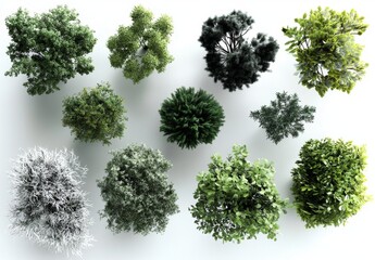 Visual Elements: 2D Bush Designs in Graphic Use