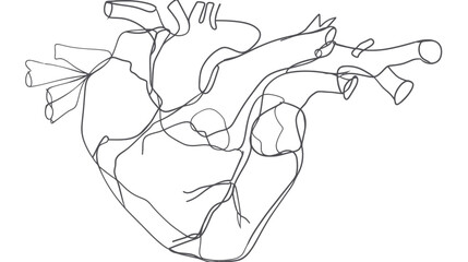 Abstract continuous line drawing of human anatomical heart on white background, medical illustration for health and cardiology