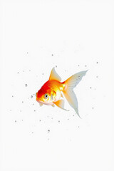 A Goldfish Swimming On A White Background