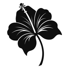 Fototapeta premium black and white flower