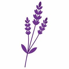 Naklejka premium lilac flowers isolated on white background