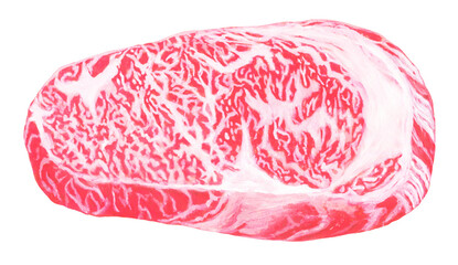 牛ステーキ肉のイラスト