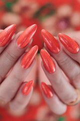 Female beautiful hand with long nails and a bright orange nail polish