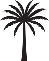 Obraz premium Detailed Black Silhouette of a Palm Tree on White tropical