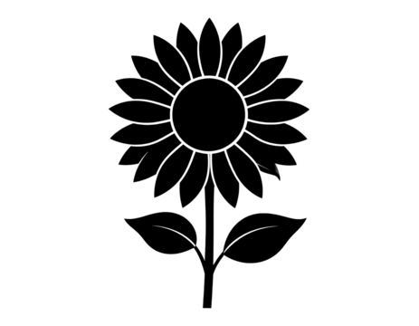 Sunflower flower silhouette, botanical and summer concept isolated on transparent background.