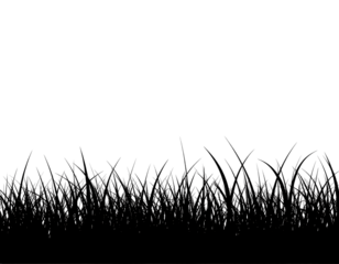 Silhouette of a grass field, natural landscape and meadow concept isolated on transparent background.