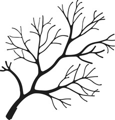 Minimalist smooth line art of coral reef branch 2